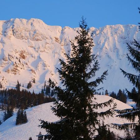 Fewo Heitmann Oberjoch Ngoại thất bức ảnh