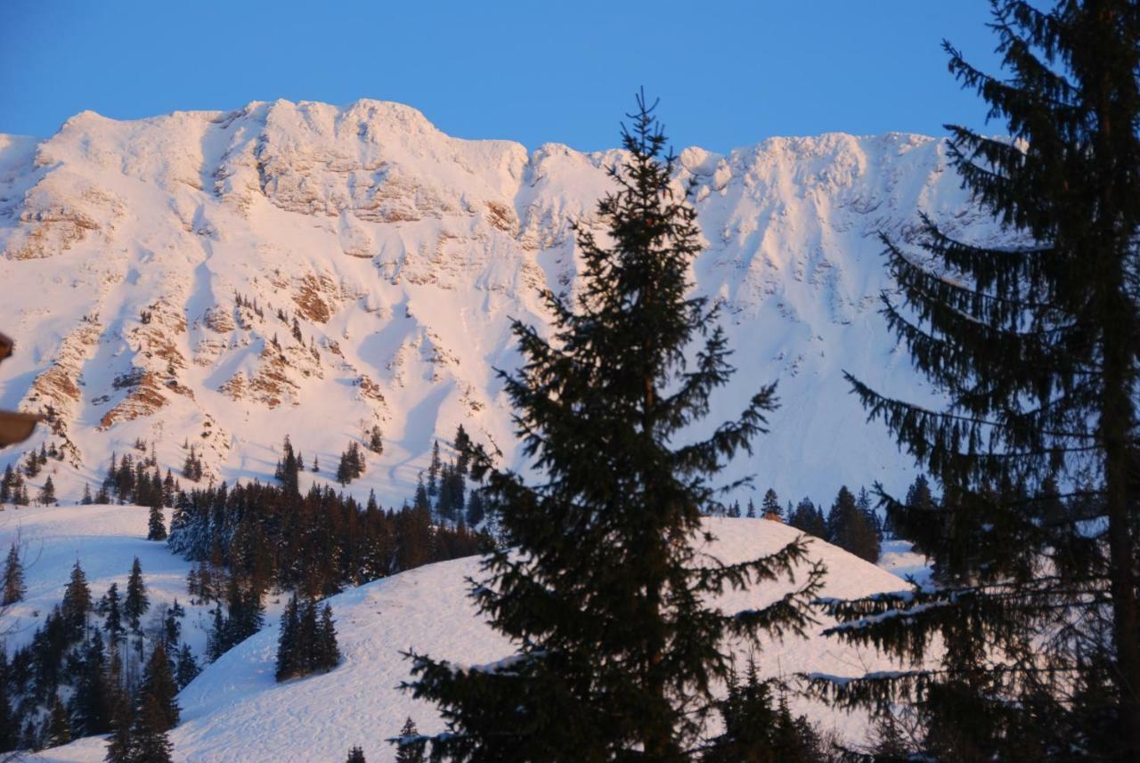 Fewo Heitmann Oberjoch Ngoại thất bức ảnh